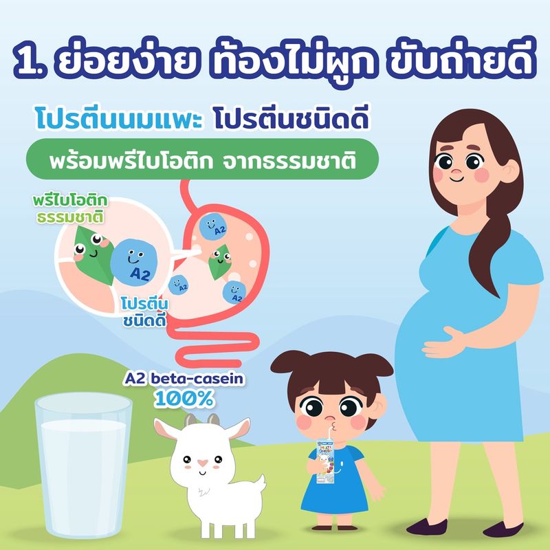 นมเเพะสำหรับคนท้อง - 6 กล่อง นมเเพะ Smart Goat สารอาหารสูง ท้องไม่ผูก ขับถ่ายดี