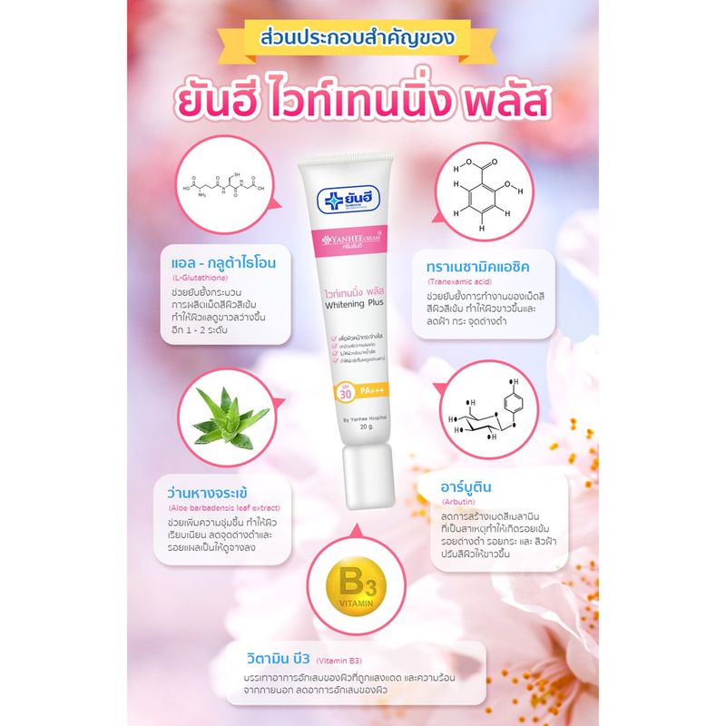 ยันฮีไวท์เทนนิ่ง พลัส(Yanhee Whitening Plus) ขนาด 20 กรัม เผยผิวกระจ่างใสใน14 วัน