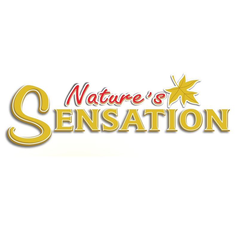 เนเจอร์ เซ็นเซชั่น เบอร์รี่ กราโนล่า 454 ก. Nature’s Sensation Burries Granola 454 g.