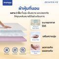 [ส่งฟรี] SleepHappy ที่นอนพ็อกเก็ตสปริง เสริมยางพาราธรรมชาติแท้ 100% รุ่น Atlantis V2 และรุ่น Atlantis V2 Latex