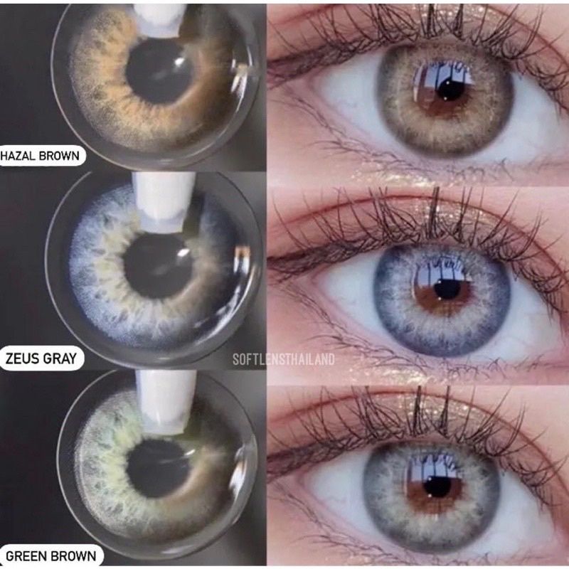 รุ่นMILD (Hazel brown, Green brown, Zeus gray) ยอดฮิตที่สุดSoftlens -คอนเเทคเลนส์รายปี - (idollens)