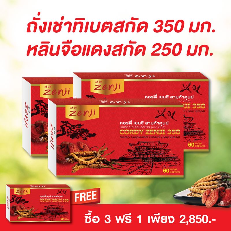 (3 ฟรี 1) ถั่งเช่า เห็ดหลินจือ 600 มก. ชนิดสกัด (60แคป X 4 กล่อง) ถังเช่า (เป็นถั่งเช่าทิเบต เห็ดหลินจือ ถั่งเช่า เซนจิ) ไม่ใช่ถั่งเช่าสีทอง zenji