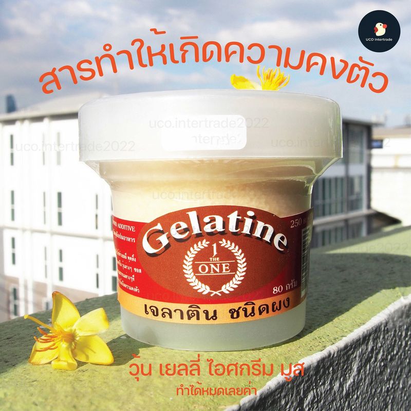 *ซื้อ299.-ลด60โค้ดUCOITR07* *ทำขนมเด้งดึ๋ง*เจลาติน Gelatine ชนิดผง 80 กรัม ทำวุ้น ทำขนม ผสมอาหาร พุดดิ้ง