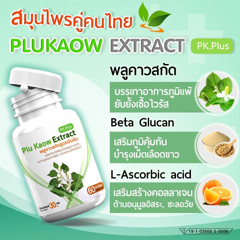 [พร้อมส่ง! ส่งไว] PK Plus Plu Kaow Extract (1 กระปุก 60 แคปซูล)  พลูคาวสกัด