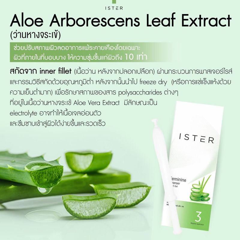 ISTER อีสเทอร์ สูตรสีเขียว ALOE VERA 1 กล่อง (+แถม 1 หลอด) ผลิตภัณฑ์ทำความสะอาดจุดซ่อนเร้น ปรับสมดุลน้องสาว