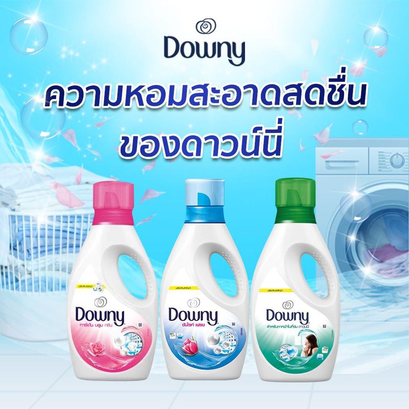 Downy Downy Expert