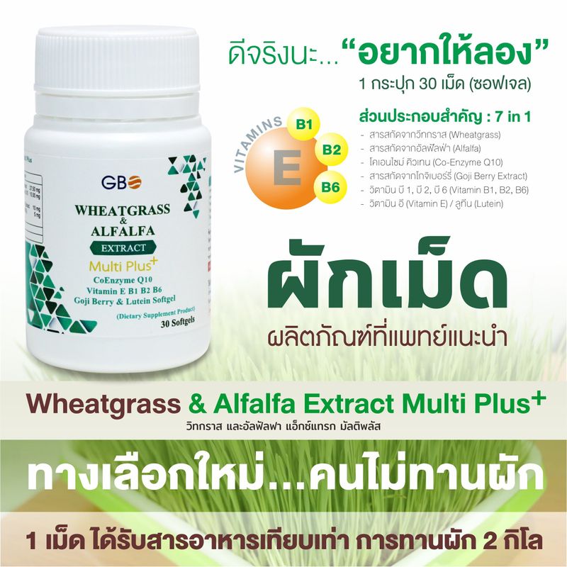 ผักเม็ด Wheatgrass & Alfalfa Extract Multi Plus+ Q10 ** ฟรีค่าส่ง **