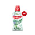 Colgate Plax Herbal Detox Mouthwash