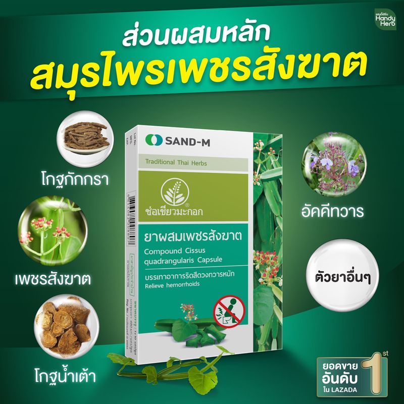 HandyHerb ช่อเขียวมะกอก เพชรสังฆาต สมุนไพรช่วยบรรเทาริดสีดวง ชนิดแคปซูล จำนวน 3 กล่อง (36 แผง)