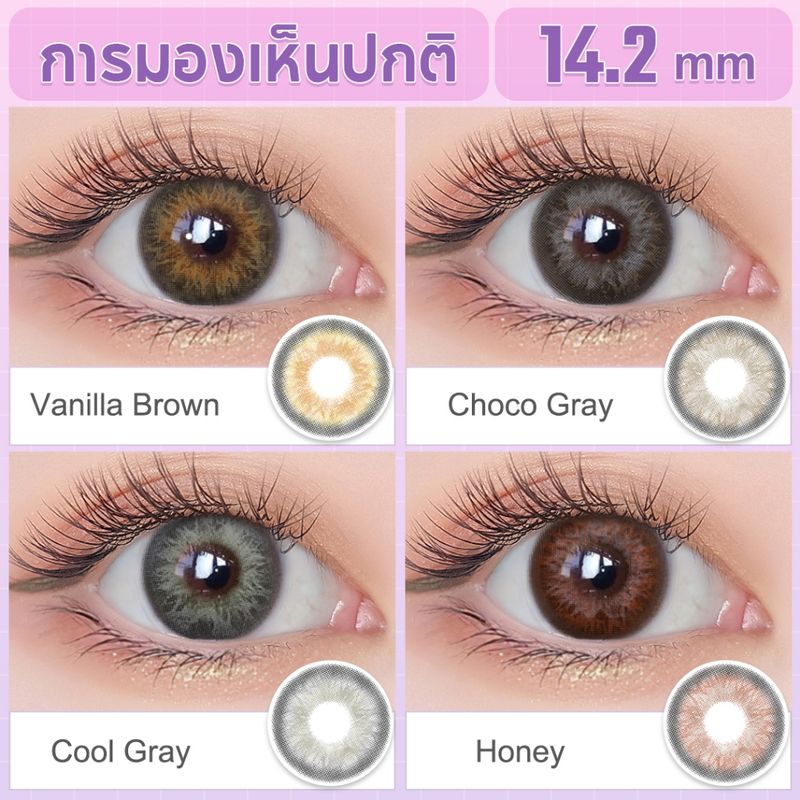 Magister คอนแทคเลนส์ 12 เดือน สายตาปกติ Iris Brown/Gray contact lens 14.2mm