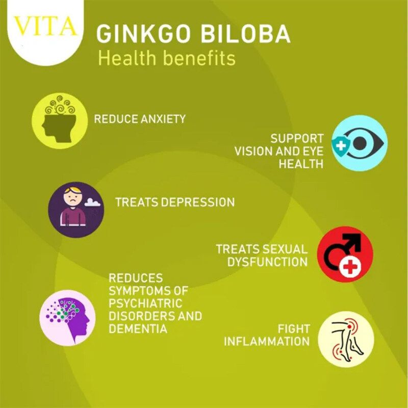 (60 เม็ด) VITA Ginkgo Biloba Capsule กิงโกะ ใบแปะก๊วยสกัด Ginko แปะก๊วย ใบแปะก๊วย ใบแปะก๊วยแคปซูล สารสกัดใบแปะก๊วย