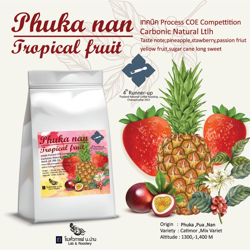 เมล็ดกาแฟพิเศษน่าน ภูคา Phuka Tropical Fruitเทคนิคแปรรูปประกวด COE Thailand (23 / 86.1 )Carbonic Dry