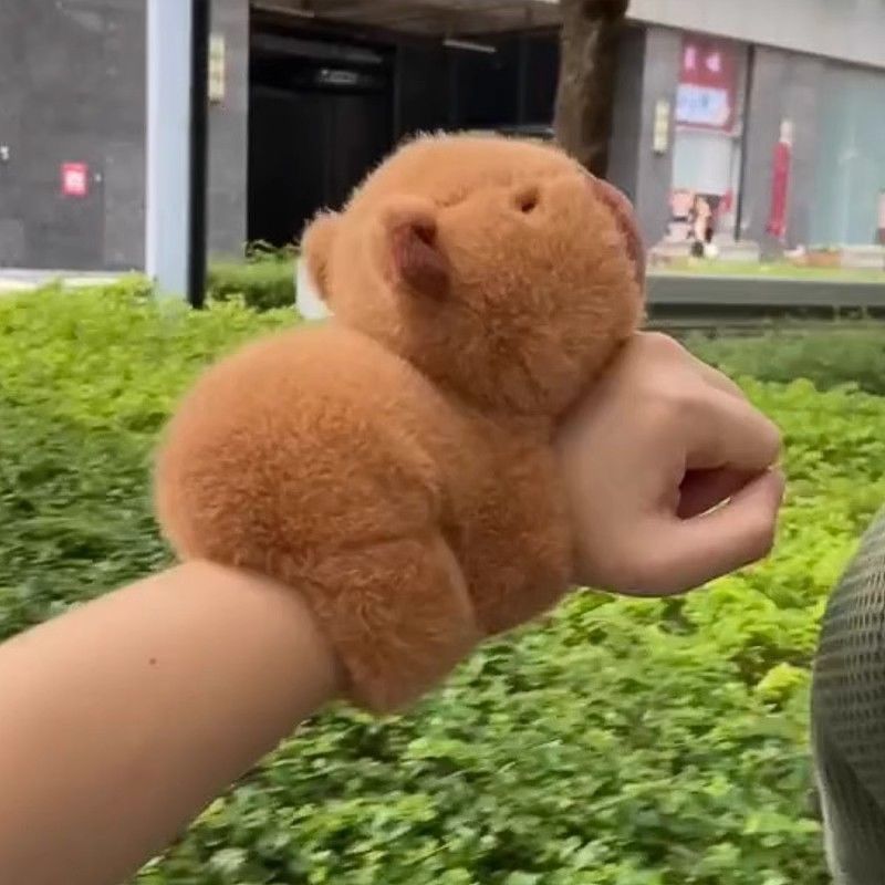 ตุ๊กตาสัตว์ คาพีบาร่า สร้อยข้อมือ ของขวัญสําหรับเด็ก CapyBara