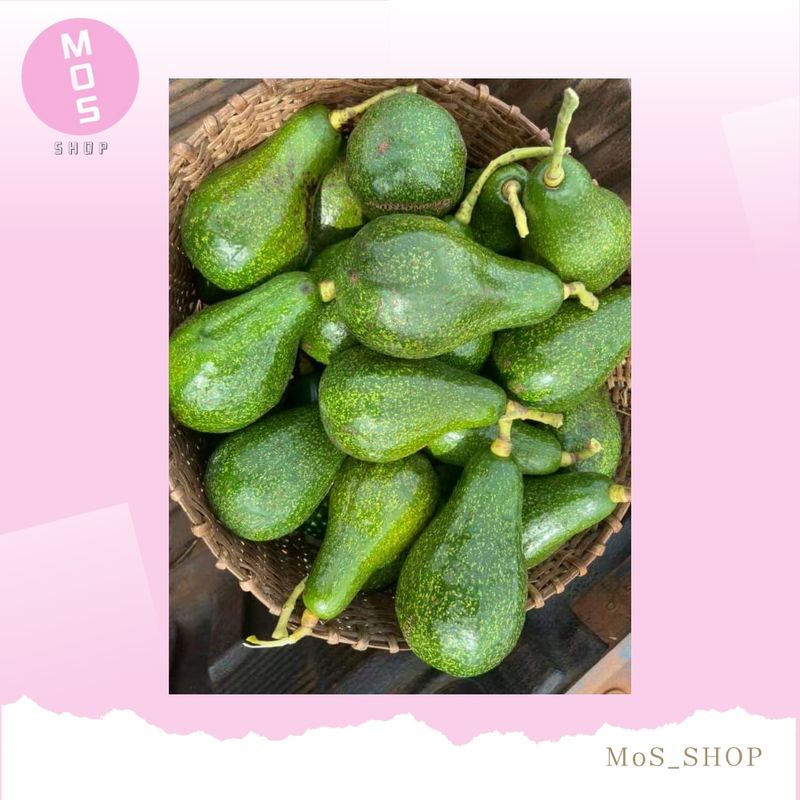 อะโวคาโด้🥑 พันธ์ุพื้นเมือง ราคา69บาท/kg ขนาด 4-5 ลูก/กก ส่งตรงจากสวน  เชียงใหม่ รับประการความอร่อย ( 牛油果avocado)