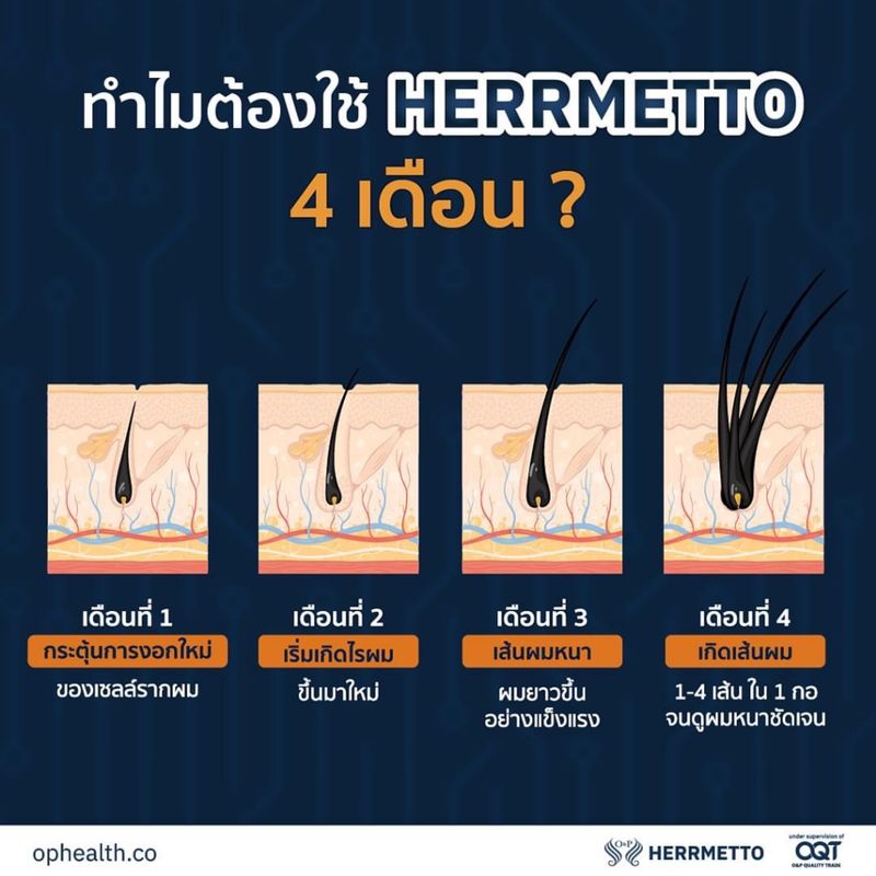 [สินค้าพร้อมส่ง] HERRMETTO PRO ผลิตภัณฑ์เสริมอาหารเส้นผมผู้ชายผมร่วง ผมบาง 4 กระปุก ของแท้100%