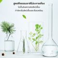 PetStern:น้ำยาฆ่าเชื้อสัตว์เลี้ยงแบบเข้มข้น,กลิ่นแป้งเด็ก 1000ML