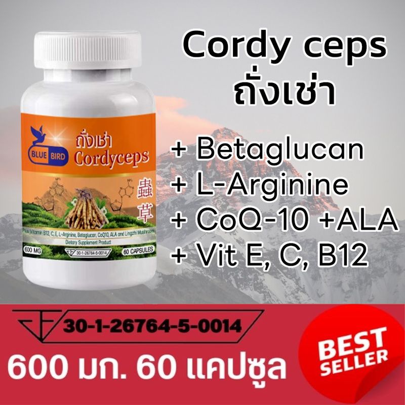 ถั่งเช่า ตังถั่งเช่า Cordyceps ตรา บลูเบิร์ด ขนาด 600 มิลลิกรัม 60 แคปซูล