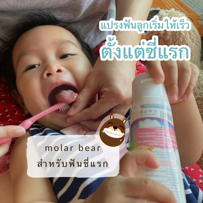 ยาสีฟันเด็ก Molar bear ยาสีฟันเด็ก1ขวบ ยาสีฟันเด็กกลืนได้ ฟลูออไรด์ 1000  1500 ppm ใช้ได้ตั้งแต่ฟันซี่แรก