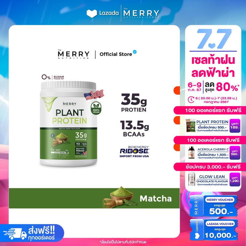 Merry Plant Protein โปรตีนพืช 5 ชนิด : รส Matcha Green Tea Flavor 1 กระปุก 2.3lb. / 1050g. [ 20 Servings ]