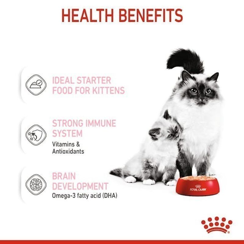 Royal Canin:MOTHER & BABYCAT MOUSSE,่6 กระป๋อง