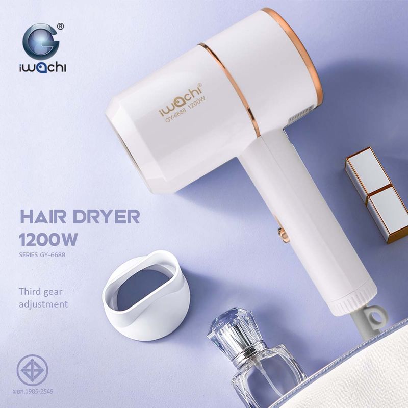 IWACHI hair dryer GY-6688