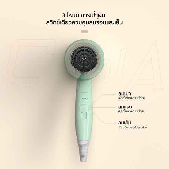 Coolastyler มีลมเย็น มอเตอร์ญี่ปุ่น ไดร์เป่าผม ไดร์เป่าผมระดับมืออาชีพ hair dryer 1000W 1200W 1500W 1800W มอก.พกพาไดร์เป่าผม ปรับความร้อน เป่าผมแห้งใน3นาที