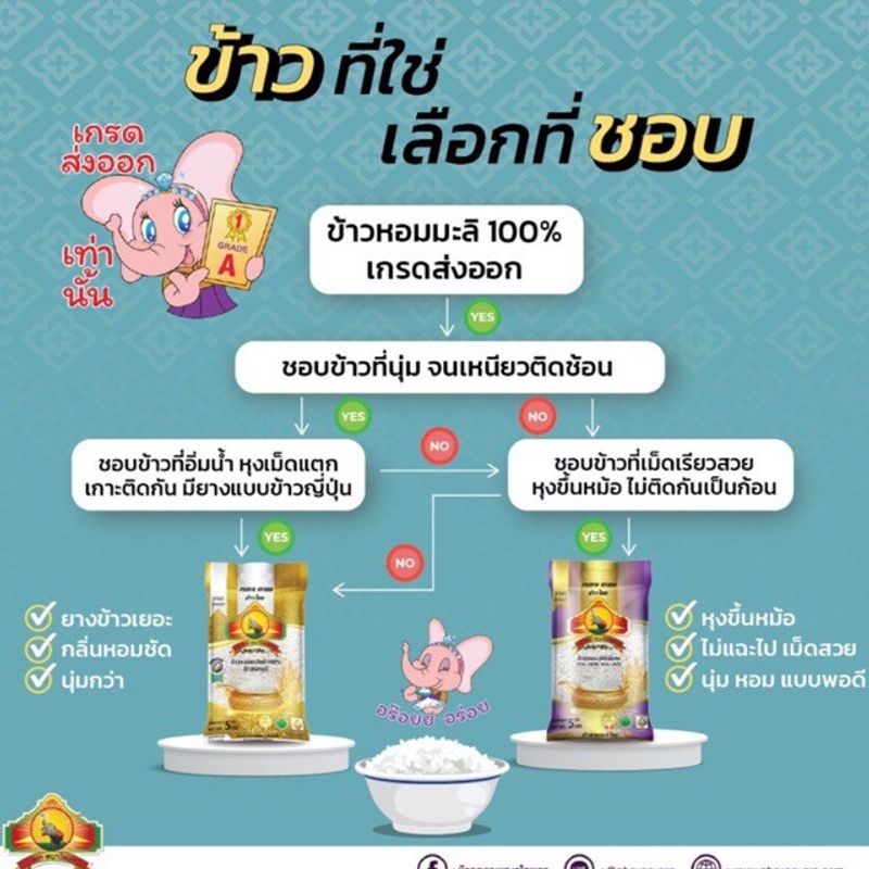 ซื้อในไลฟ์ลด100.- (แพ็ก3) ข้าวหอมมะลิเก่าแท้ 100% ชั้นพิเศษเกรดส่งออก ขนาด 5KG