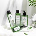 Naturista Tea Tree Special Set เซ็ททีทรีสเปเชียลสุดคุ้ม ซื้อเป็นเซตถูกกว่า!