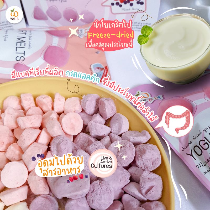 Wel-B Freeze-dried Yogurt Mixed Berry 20g.(โยเกิร์ตกรอบ รสมิกซ์เบอร์รี่) (เเพ็ค 6 ซอง) - ขนมเด็ก ฟรีซดราย โยเกิร์ตฟรีตดราย โยเกิร์ตกรอบ โยเกิร์ตเด็ก