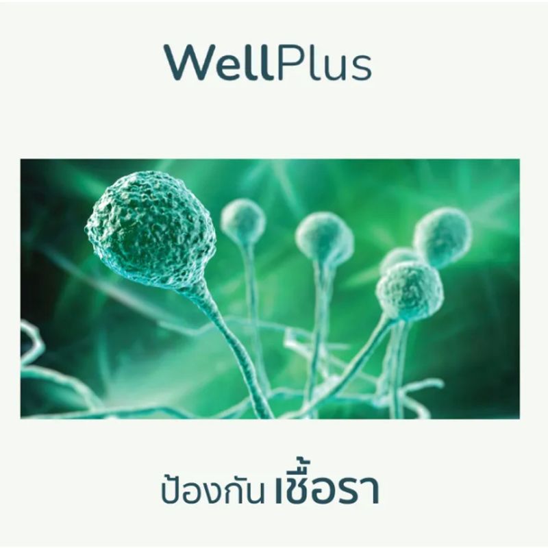 WellPlus ท็อปเปอร์ยางพารา Topper ที่นอน รองรับสรีระได้ พับเก็บได้ เคลื่อนย้ายสะดวก