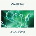 WellPlus ท็อปเปอร์ยางพารา Topper ที่นอน รองรับสรีระได้ พับเก็บได้ เคลื่อนย้ายสะดวก