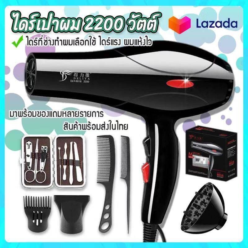 DLY-8018 Hair Dryer