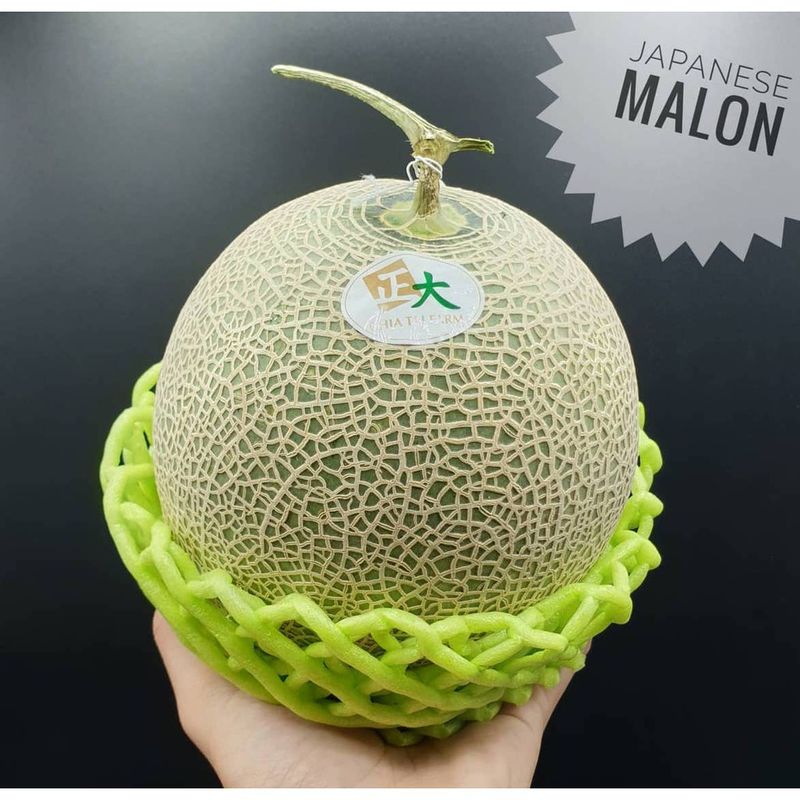 แตงเมล่อนพันธุ์ญี่ปุ่น เนื้อเขียว เนื้อส้ม Japanese Melon メロン(1ลูก) (THAI) 1.5KG UP ~ลดพิเศษ~ Cantaloupe แคนตาลูปญี่ปุ่น