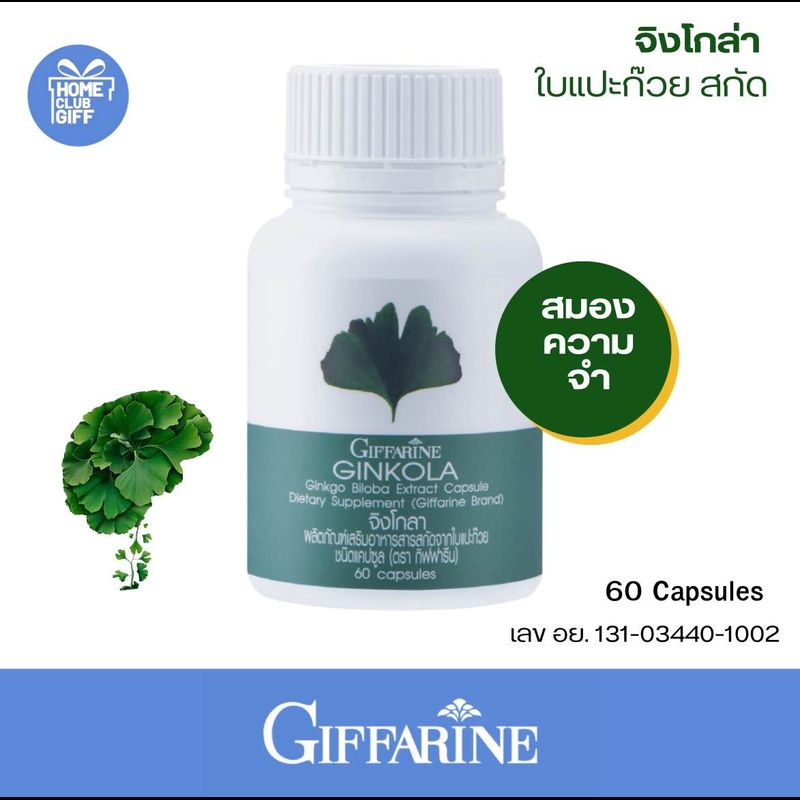 กิฟฟารีน ใบแปะก๊วยสกัด จิงโกะ Ginko biloba ความจำสมอง อาหารเสริม 60 แคปซูล