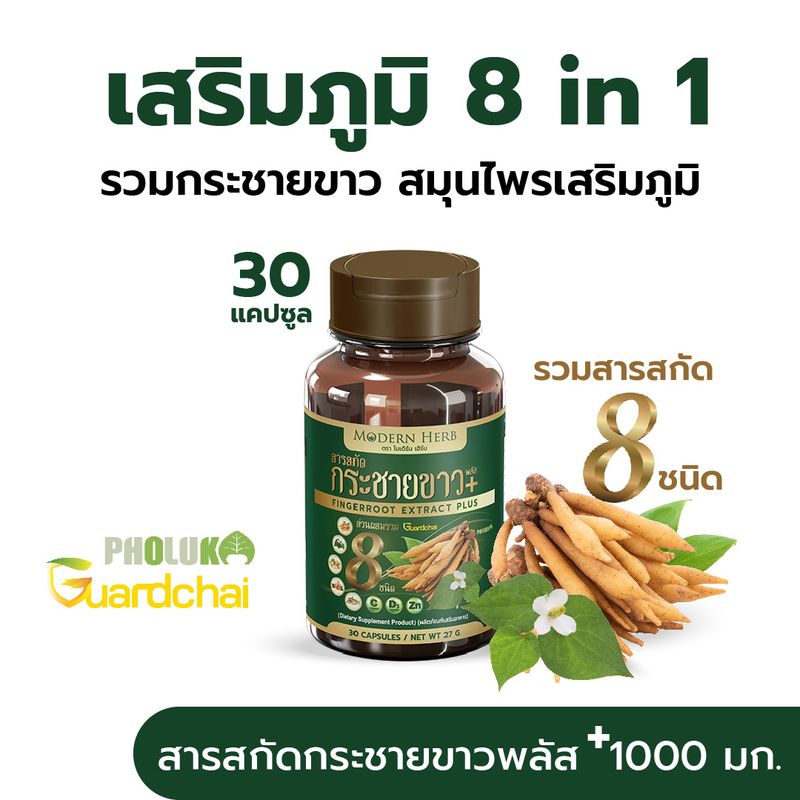 กระชายขาว พลัส 1000 มก ตรา Modern Herb 30 แคปซูล