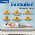 Zcoopy ที่นอน สัมผัสนุ่ม ไม่สะสมความร้อน จัดส่งในกล่อง น้ำหนักเบา ราคาประหยัด ส่งฟรี รุ่น Coolmax ขนาด 3.5ฟุต