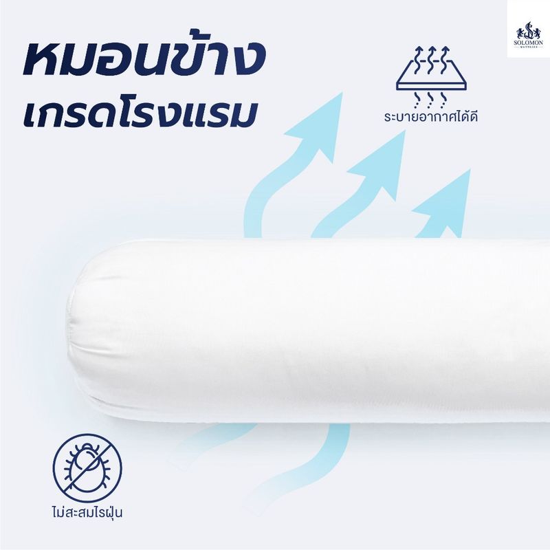 Solomon mattress ชุดหมอนหนุน 1 ใบ + หมอนข้าง 1 ใบ