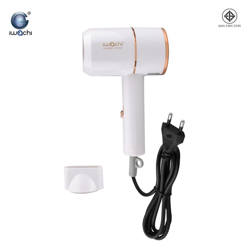 IWACHI hair dryer GY-6688