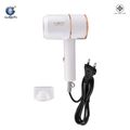 IWACHI hair dryer GY-6688