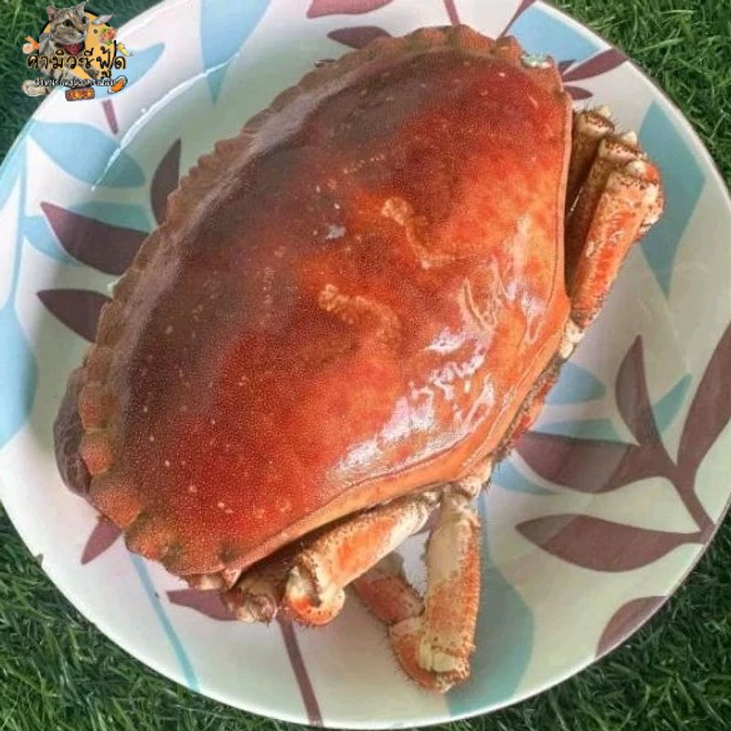 🦀ปูขนมปัง นำเข้าจากนอร์เวย์  ตัวใหญ่ๆมี2ไซส์ 600-800 กรัม และ 800กรัม-1000กรัม