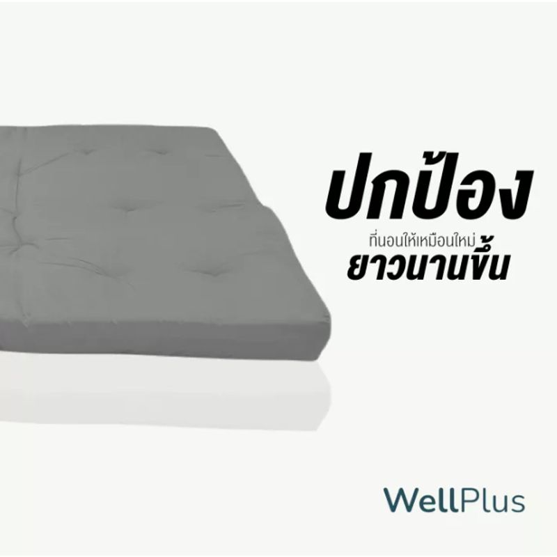 WellPlus ท็อปเปอร์ รุ่นZplus ใยขนห่านเทียม หนา 4 นิ้ว (ขนาด 3.5/5/6 ฟุต)