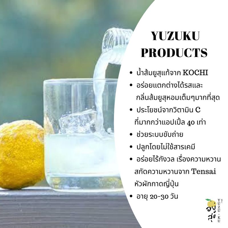 (ทักแชทขอโค้ด) YUZU HONEY JUICE น้ำส้มยูสุแท้ผสมน้ำผึ้ง จากญี่ปุ่น