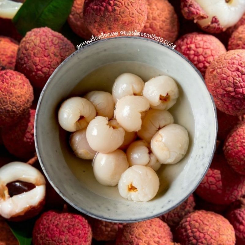 ส่งฟรี/ส่งไว ลิ้นจี่ในน้ำเชื่อม T.T Lychee in Syrub​ ลิ้นจี่กระป๋อง​ ผลไม้​กระป๋อง​ เนื้อแน่น หอม หวาน อร่อย Malee