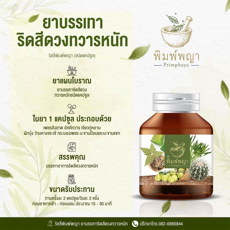 พิมพ์พญา สมุนไพรพิมพ์พญา ริดสีดวง เพชรสังฆาต (1แถม1 390บาท ) ส่งฟรี มีเก็บเงินปลายทาง