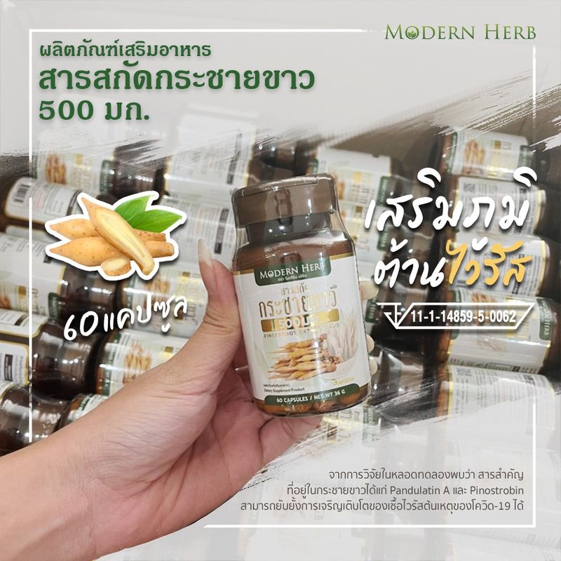 กระชายขาว พลัส 500 มก. (ของแท้!!)  60 แคปซูล สูตรเข้มข้น  มาตราฐาน GMP ISO มี อย. รับรอง