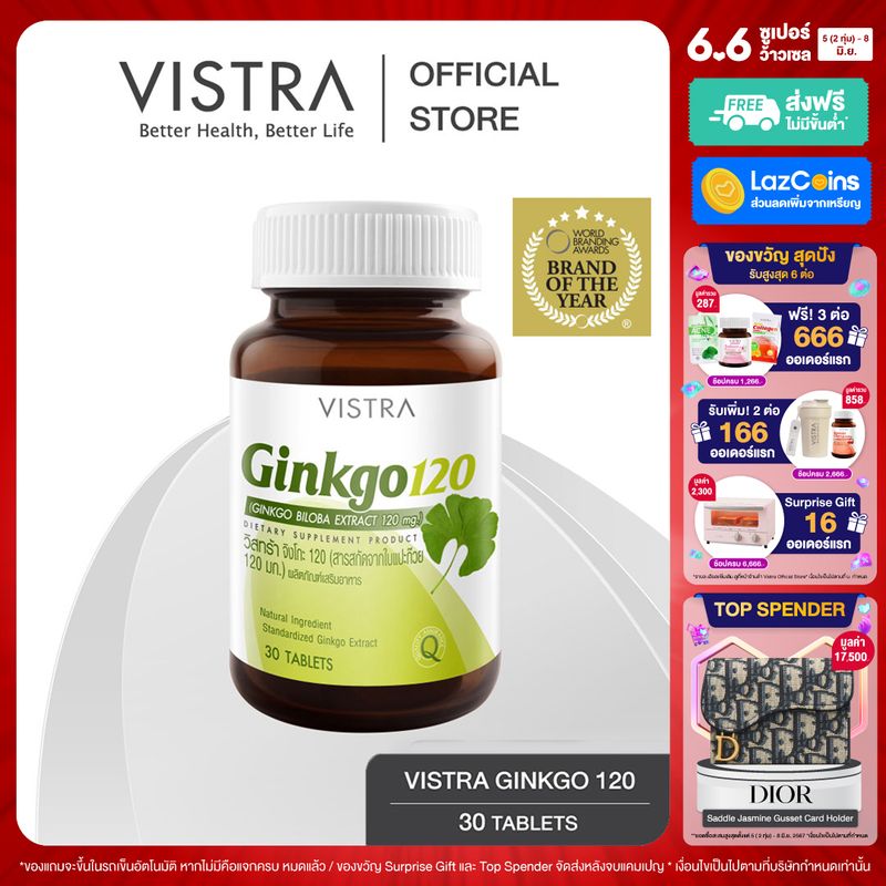 VISTRA Ginkgo สารสกัดจากใบแปะก๊วย 120 Ml. (30 เม็ด)