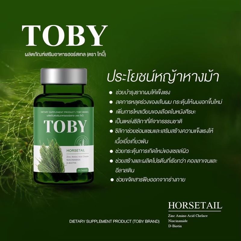 TOBY HORSETAIL ของแท้ หญ้าหางม้าสกัดเย็น โทบี้หญ้าหางม้า วิตามินบำรุงผม ชะลอเกิดหงอก ลดผมร่วง ทำให้รากผมแข็งแรง✨