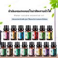 life.helper:Essential Oil 100%,Mint สะระแหน่