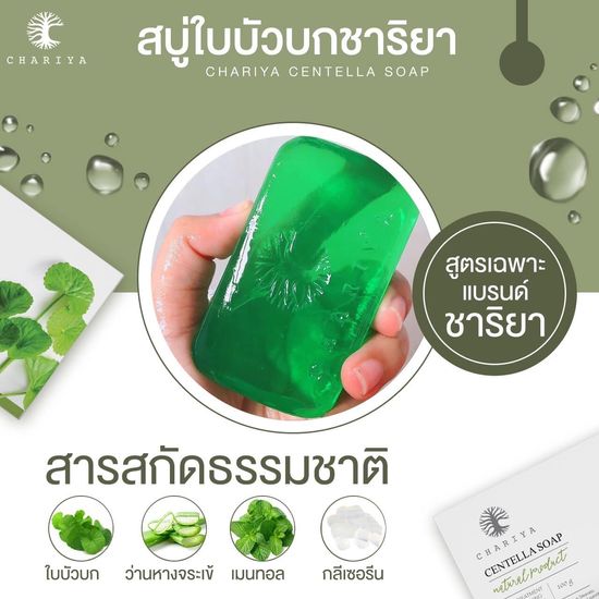 ชาริยา สบู่ใบบัวบก 25g Centella Soap [แถมฟรีถุงตีฟอง] สบู่ล้างหน้า Chariya Skincare (ชาริยา สกินแคร์) ของแท้