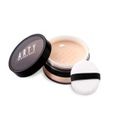 ARTY TRANSLUCENT LOOSE POWDER C1